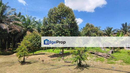 Durian Farm Land Water and Electricity 9 Acres Sungai Klau Raub Pahang, Pahang, Raub