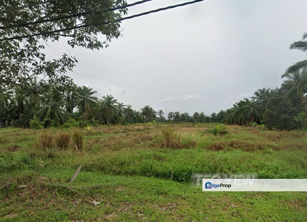 Ready Develop 5.2 Acres Converted Residential Land Jenjarom Freehold!, Selangor, Jenjarom