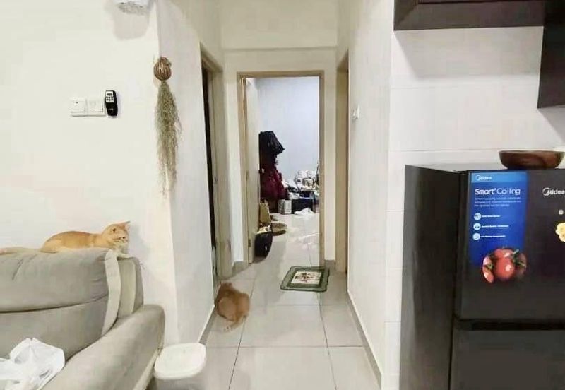 The Arc At Austin Hill