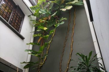 Taman Desa Cemerlang