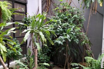 Taman Desa Cemerlang