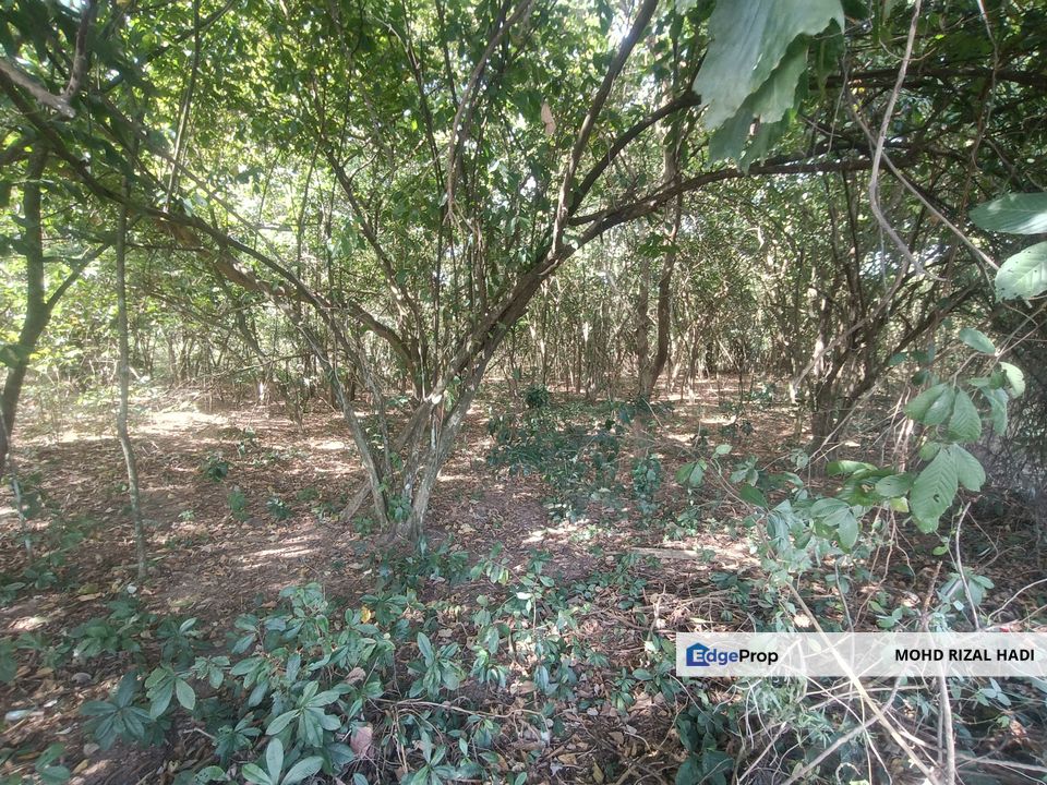 17.29 Acres Freehold Land with Residential Zoning, Facing Main Road – Pajam, Mantin, Negeri Sembilan, Nilai