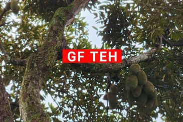 Kampung Sungai Kechil