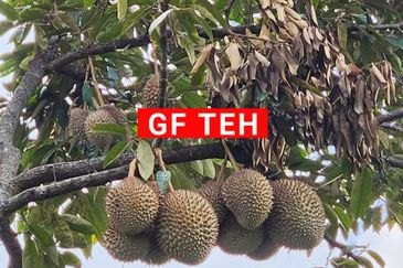 Kampung Sungai Kechil