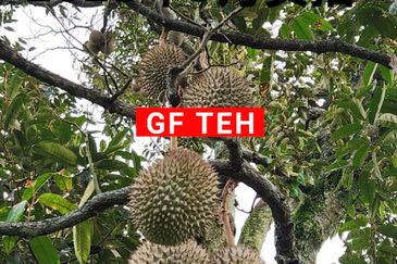 Kampung Sungai Kechil