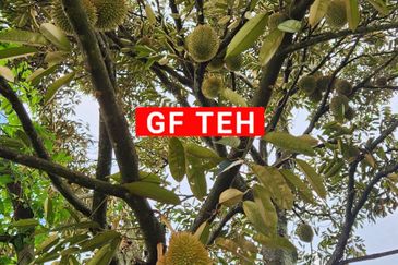 Kampung Sungai Kechil