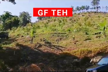 Balik Pulau / Teluk Bahang