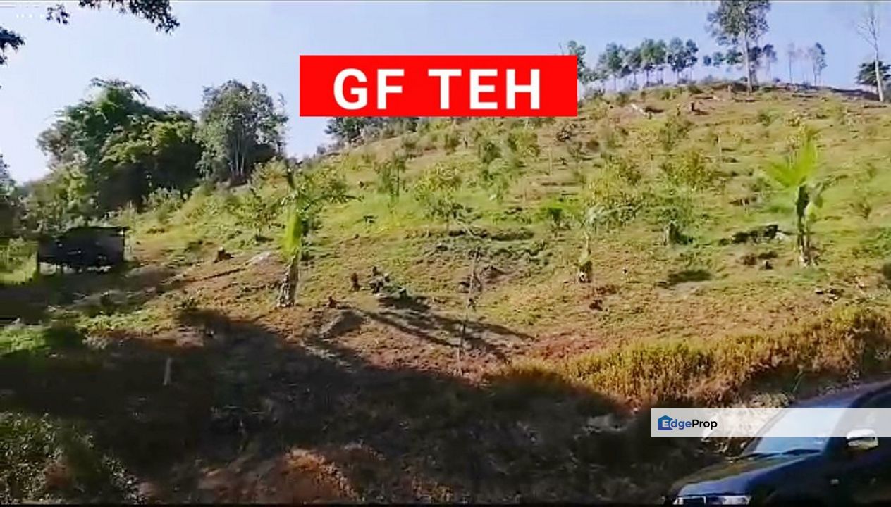 60 acre Teluk Bahang Durian Plantation | Pulau Pinang |  30 mil, Penang, Balik Pulau