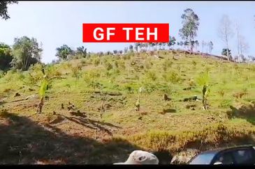 Balik Pulau / Teluk Bahang