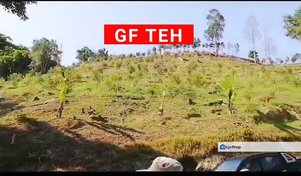 60 acre Teluk Bahang Durian Plantation | Pulau Pinang |  30 mil, Penang, Balik Pulau