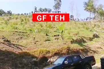 Balik Pulau / Teluk Bahang