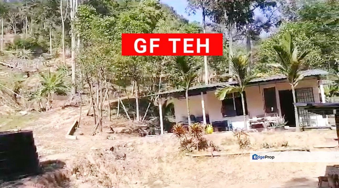 60 acre Teluk Bahang Durian Plantation | Pulau Pinang |  30 mil, Penang, Balik Pulau