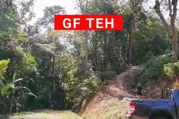 Balik Pulau / Teluk Bahang