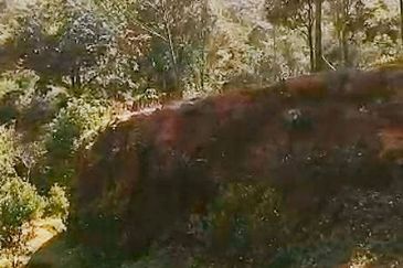 Balik Pulau / Teluk Bahang