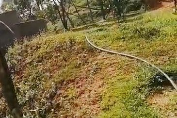 Balik Pulau / Teluk Bahang