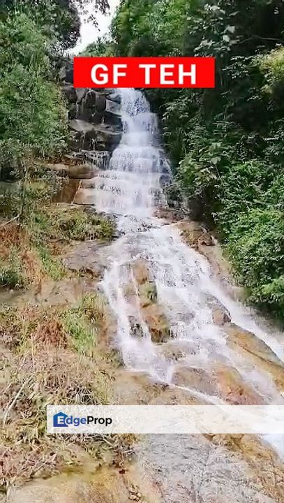 60 acre Teluk Bahang Durian Plantation | Pulau Pinang |  30 mil, Penang, Balik Pulau