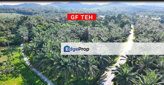 1.74 acres | near Bukit Teh | near Machang Bubok | Bukit Mertajam to Simpang Ampat Border RM30 psf, Penang, Bukit Mertajam