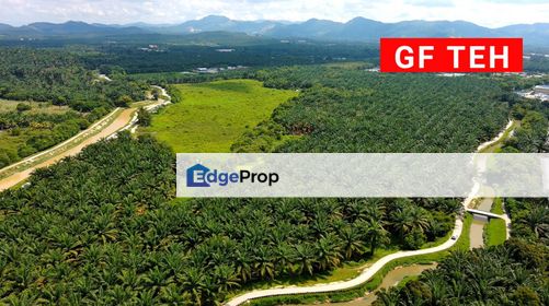 1.2 acres Agricultural Land Sungai Junjung | Kampung Tasik | RM6 psf, Penang, Simpang Ampat