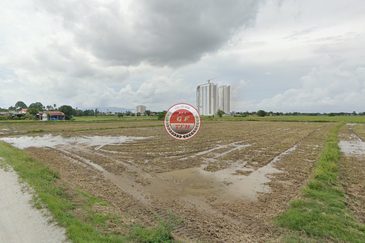 Agricultural Land Permatang Pauh Bukit Mertajam
