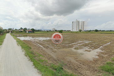 Agricultural Land Permatang Pauh Bukit Mertajam