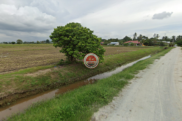 Agricultural Land Permatang Pauh Bukit Mertajam