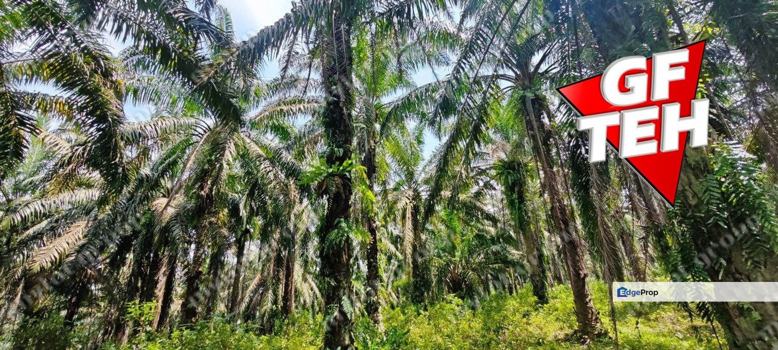 35.181 acres Agricultural Land | near Kulim Town area | Rm3.72psf , Penang, Bukit Mertajam