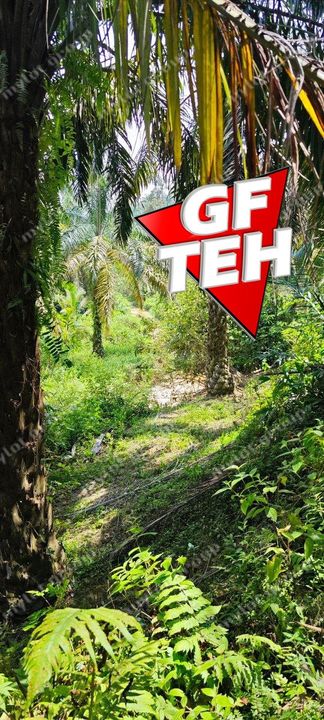 35.181 acres Agricultural Land | near Kulim Town area | Rm3.72psf , Penang, Bukit Mertajam