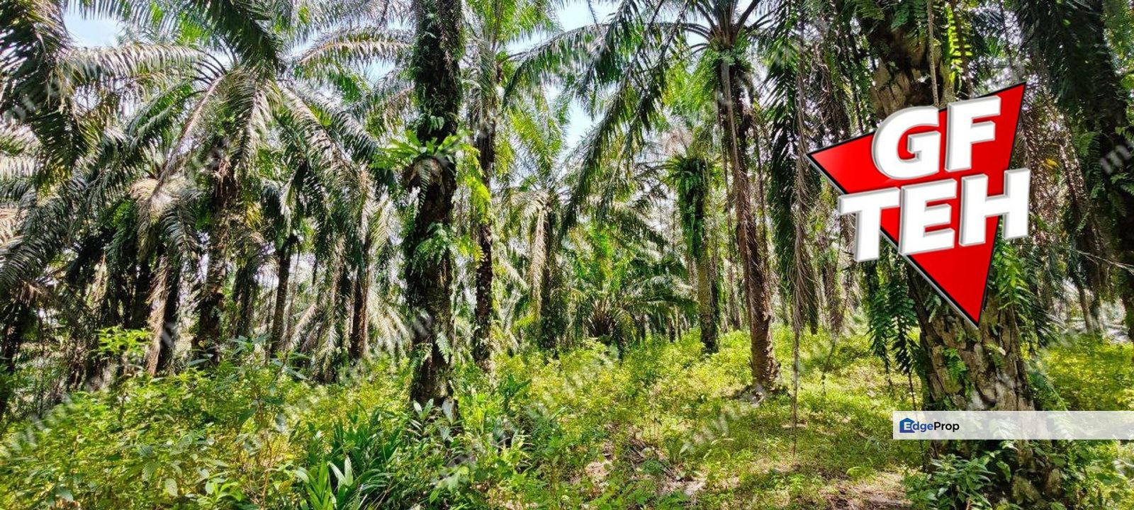 35.181 acres Agricultural Land | near Kulim Town area | Rm3.72psf , Penang, Bukit Mertajam
