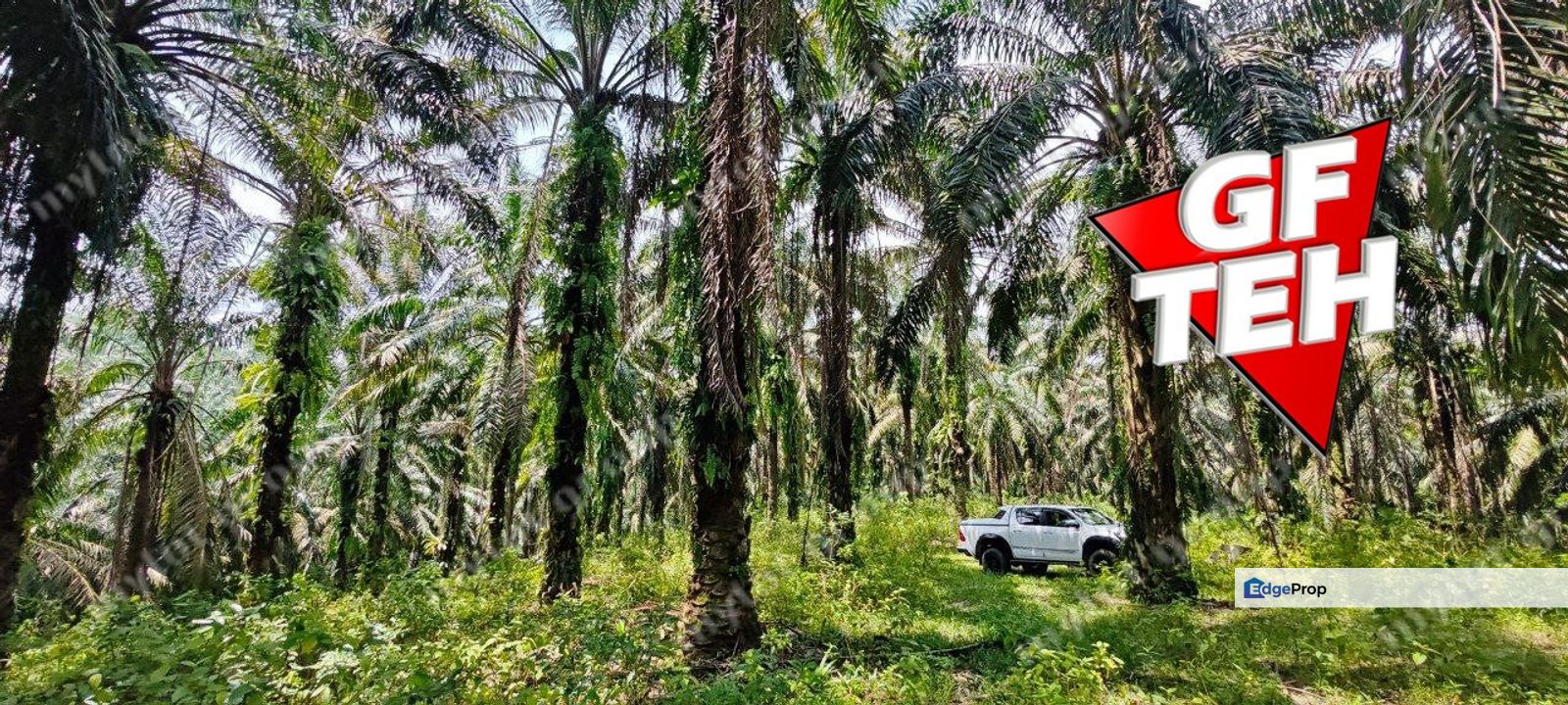 35.181 acres Agricultural Land | near Kulim Town area | Rm3.72psf , Penang, Bukit Mertajam