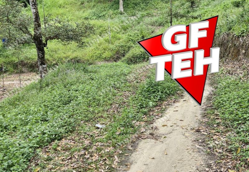 Kampung Tasek Junjung