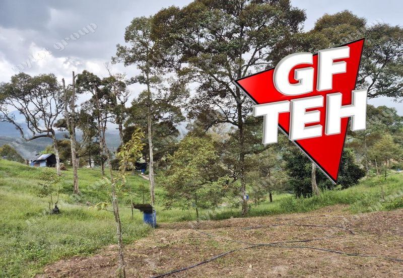 Kampung Tasek Junjung