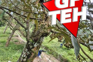 Kampung Tasek Junjung