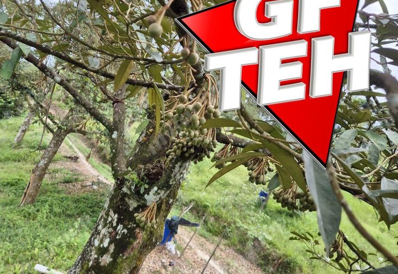 Kampung Tasek Junjung