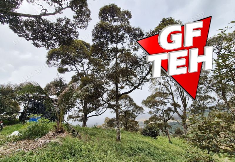 Kampung Tasek Junjung