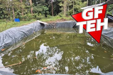 Kampung Tasek Junjung