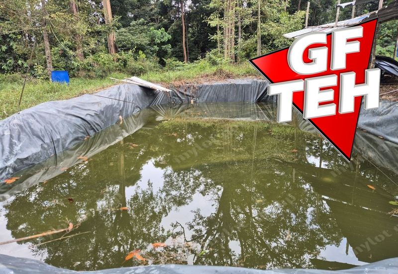 Kampung Tasek Junjung