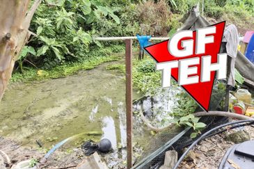 Kampung Tasek Junjung