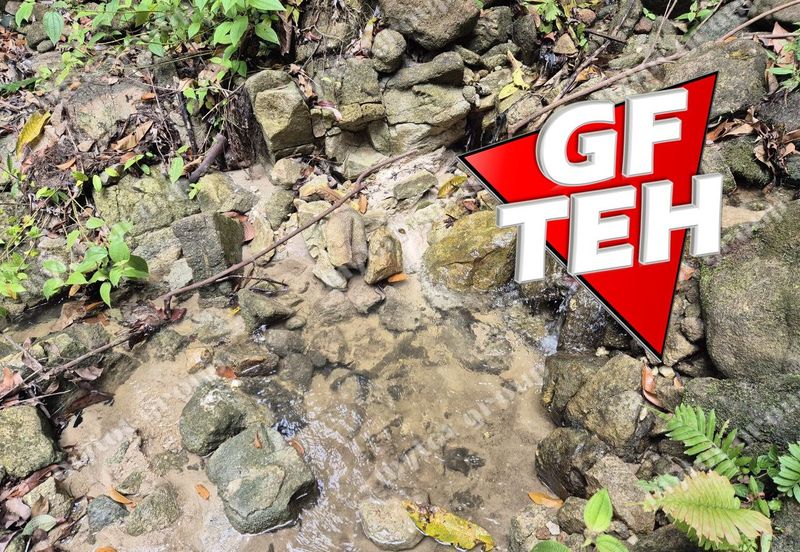 Kampung Tasek Junjung