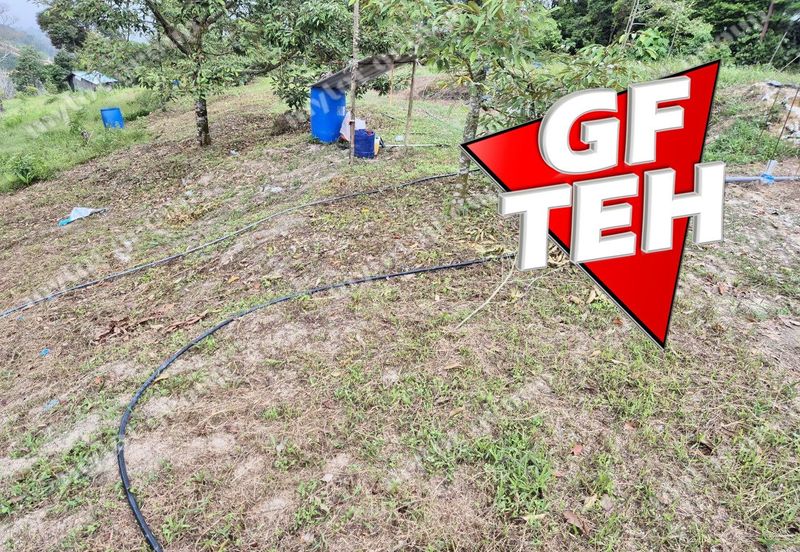 Kampung Tasek Junjung