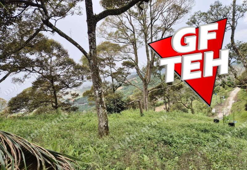 Kampung Tasek Junjung