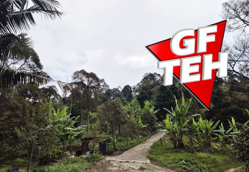 Kampung Tasek Junjung