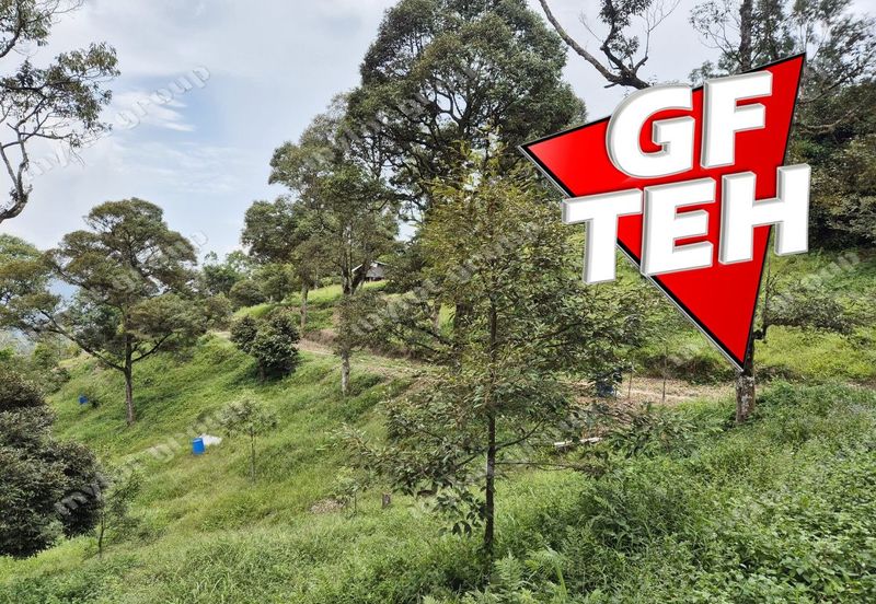 Kampung Tasek Junjung