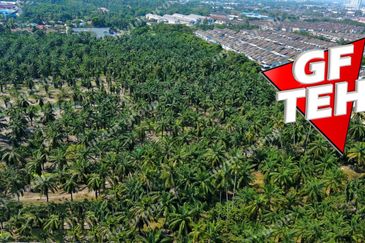 Taman Bukit Minyak Indah