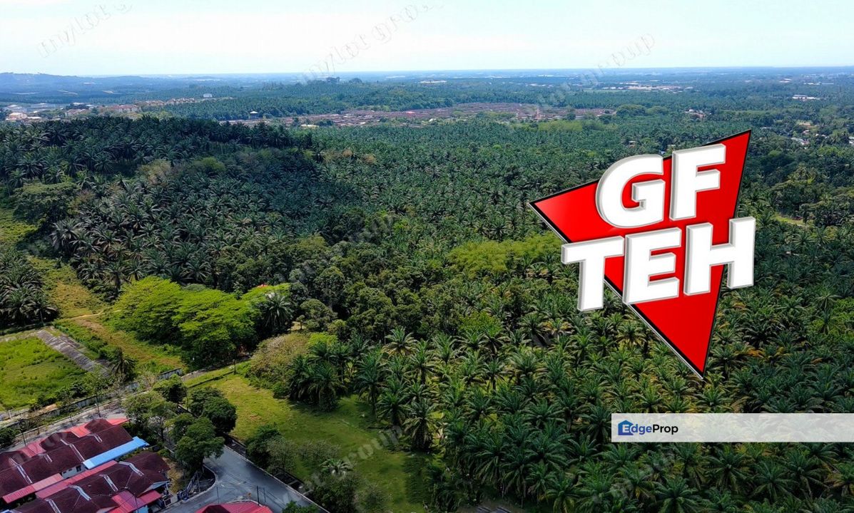 10.386 acre Agricultural Land | Sungai Jawi | SPS Penang Rm15psf , Penang, Sungai Bakap 