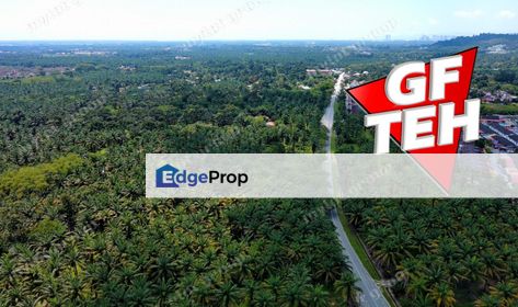 10.386 acres Agricultural Land | Sungai Jawi | SPS Penang Rm15psf , Penang, Sungai Bakap 