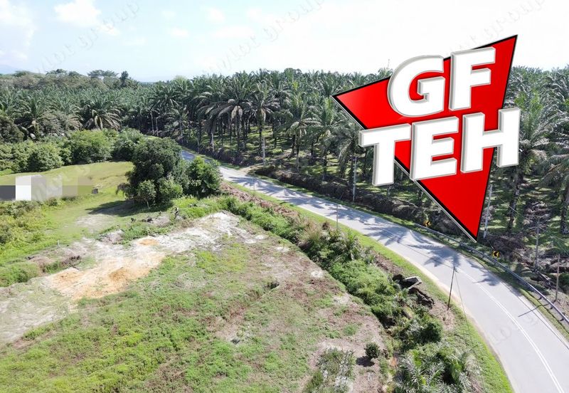 9.619 Acres Main Road | Zoning Residential | Selama | Perak Rm10psf b