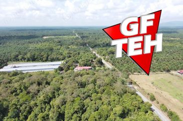 9.619 Acres Main Road | Zoning Residential | Selama | Perak Rm10psf b