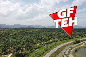 Balik Pulau / Teluk Bahang