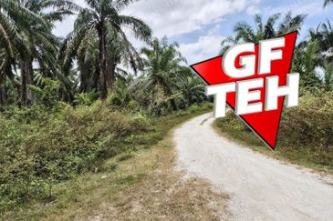 Balik Pulau / Teluk Bahang