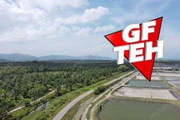 Balik Pulau / Teluk Bahang